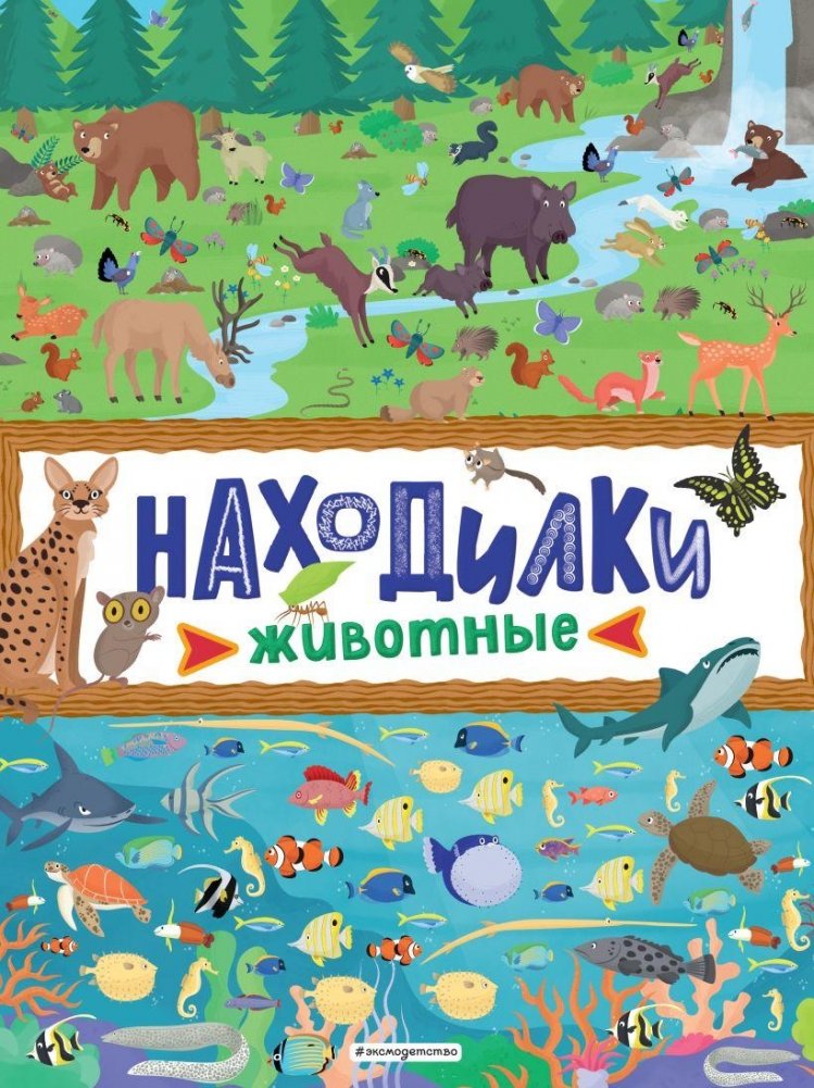 Находилки. Животные | Finders. Animals