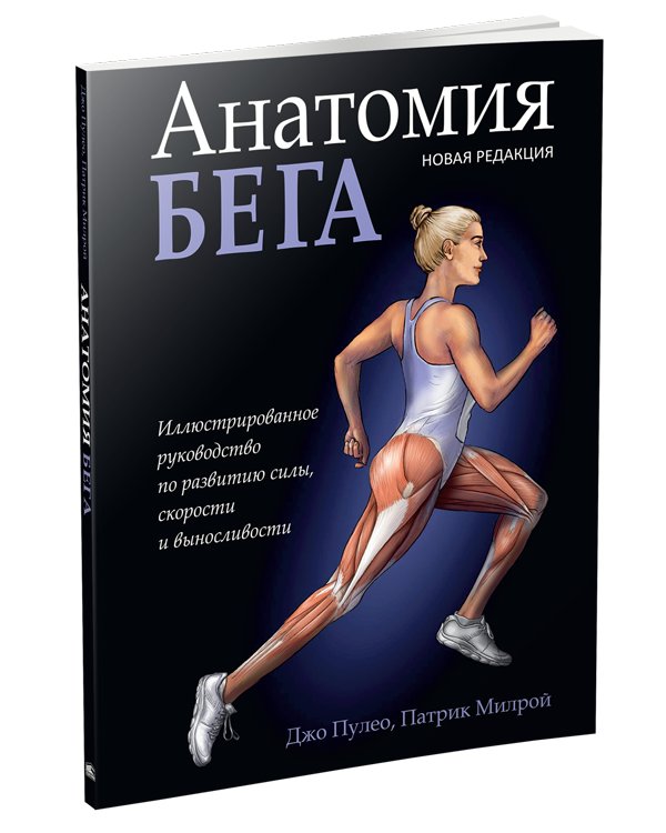 Анатомия бега | Anatomy of Running