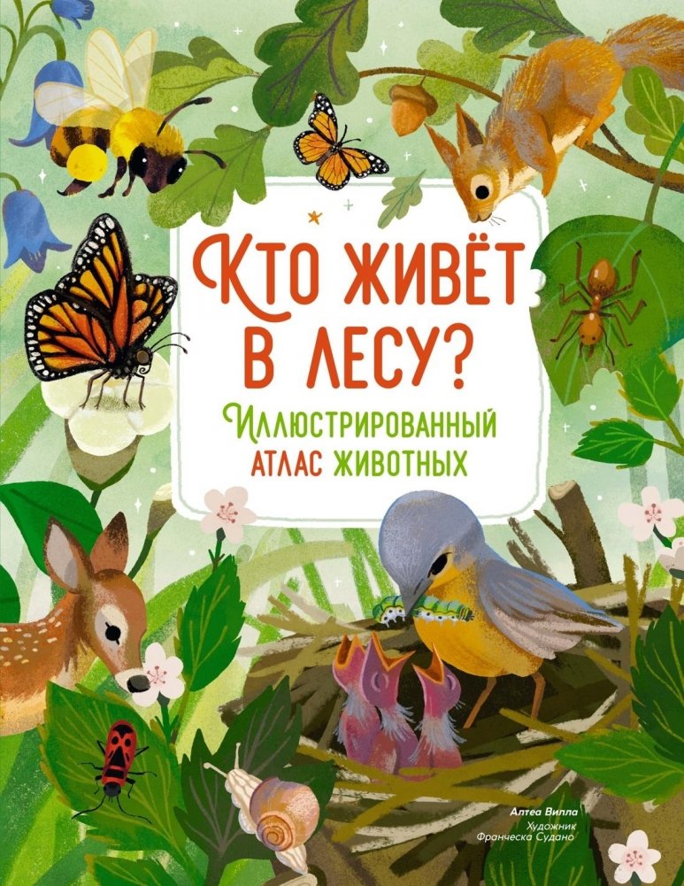 Кто живёт в лесу? Иллюстрированный атлас животных | Who Lives in the Forest? An Illustrated Animal Atlas