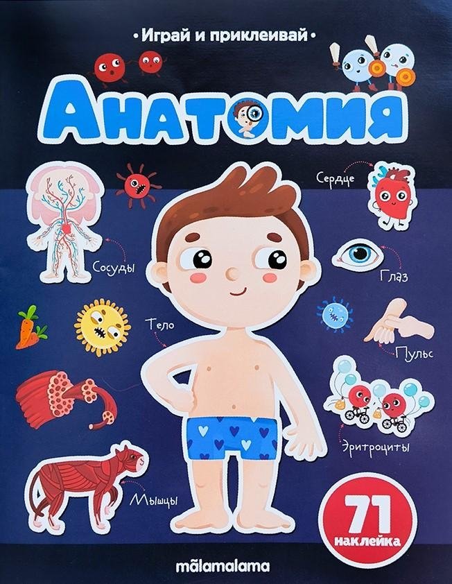 Анатомия | Anatomy