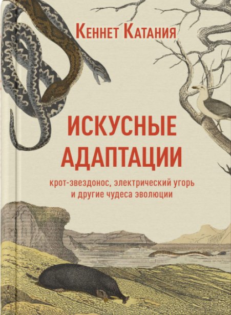 Искусные адаптации. Крот-звездонос, электрический угорь и другие чудеса эволюции | Ingenious Adaptations: The Star-Nosed Mole, Electric Eel, and Other Evolutionary Marvels