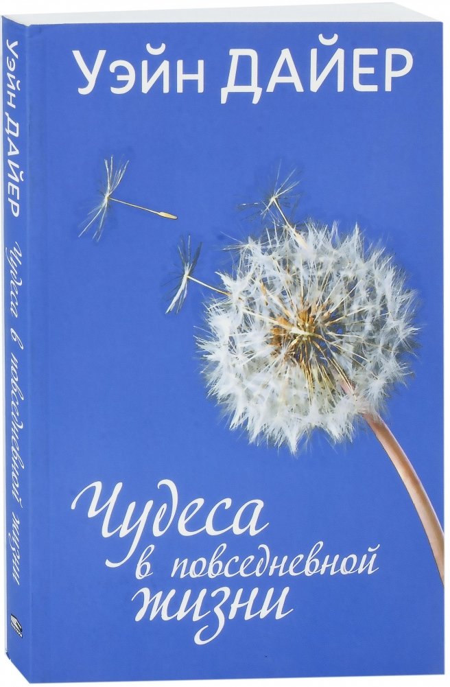 Чудеса в повседневной жизни | Everyday Miracles