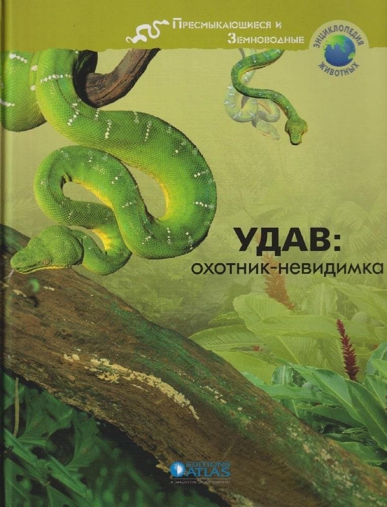 Удав. Охотник-невидимка | Boa. The Invisible Hunter