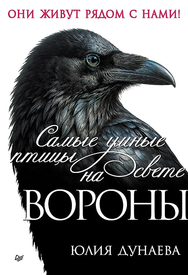 Самые умные птицы на свете. Вороны | The Smartest Birds in the World: Crows