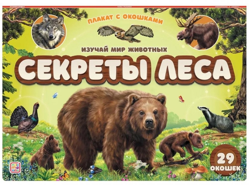 Секреты леса. Плакат с окошками | Forest Secrets. Poster with Windows