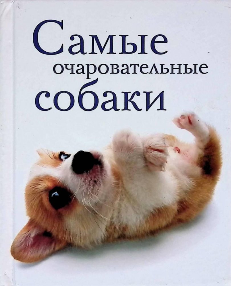 Самые очаровательные собаки | The Most Charming Dogs