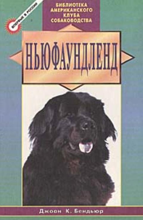 Ньюфаундленд | Newfoundland