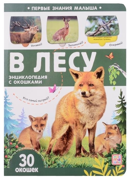 В лесу | In the Forest