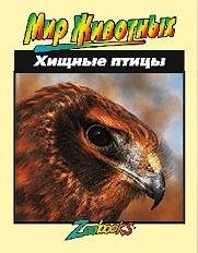 Хищные птицы | Birds of Prey