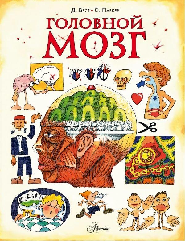 Головной мозг | The Brain