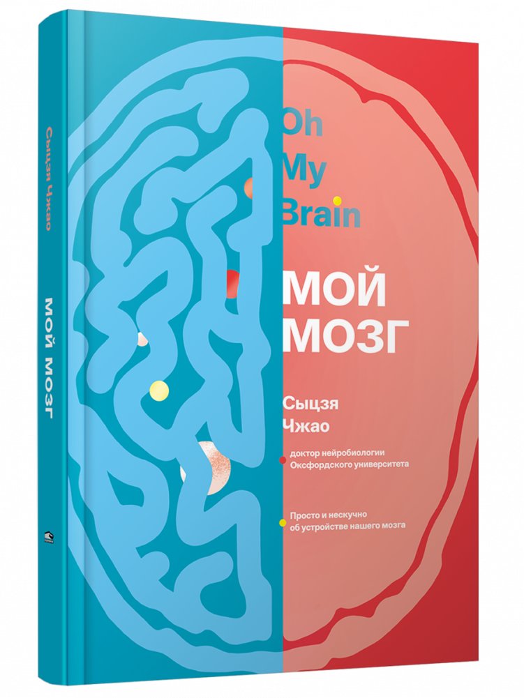 Мой мозг | My Brain