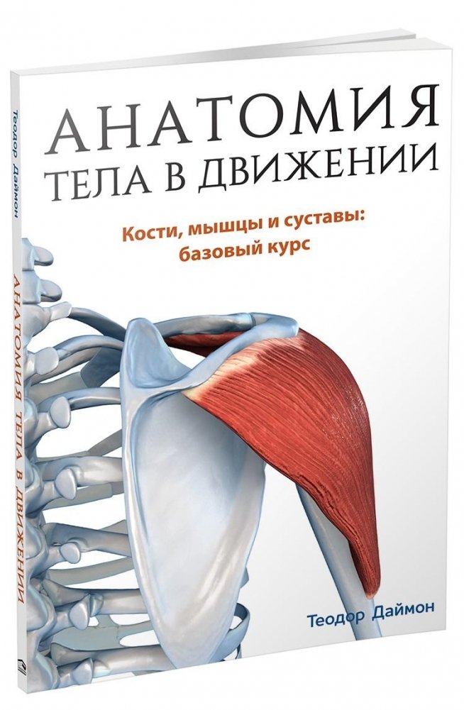 Анатомия тела в движении | Anatomy of the Moving Body