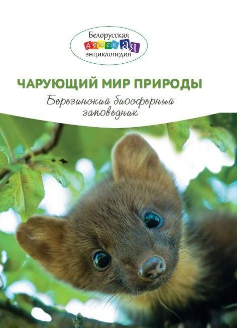 Чарующий мир природы. Березинский биосферный заповедник | The Enchanting World of Nature: Berezinsky Biosphere Reserve