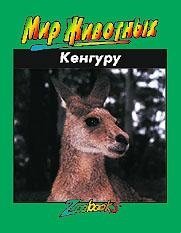 Кенгуру | Kangaroo