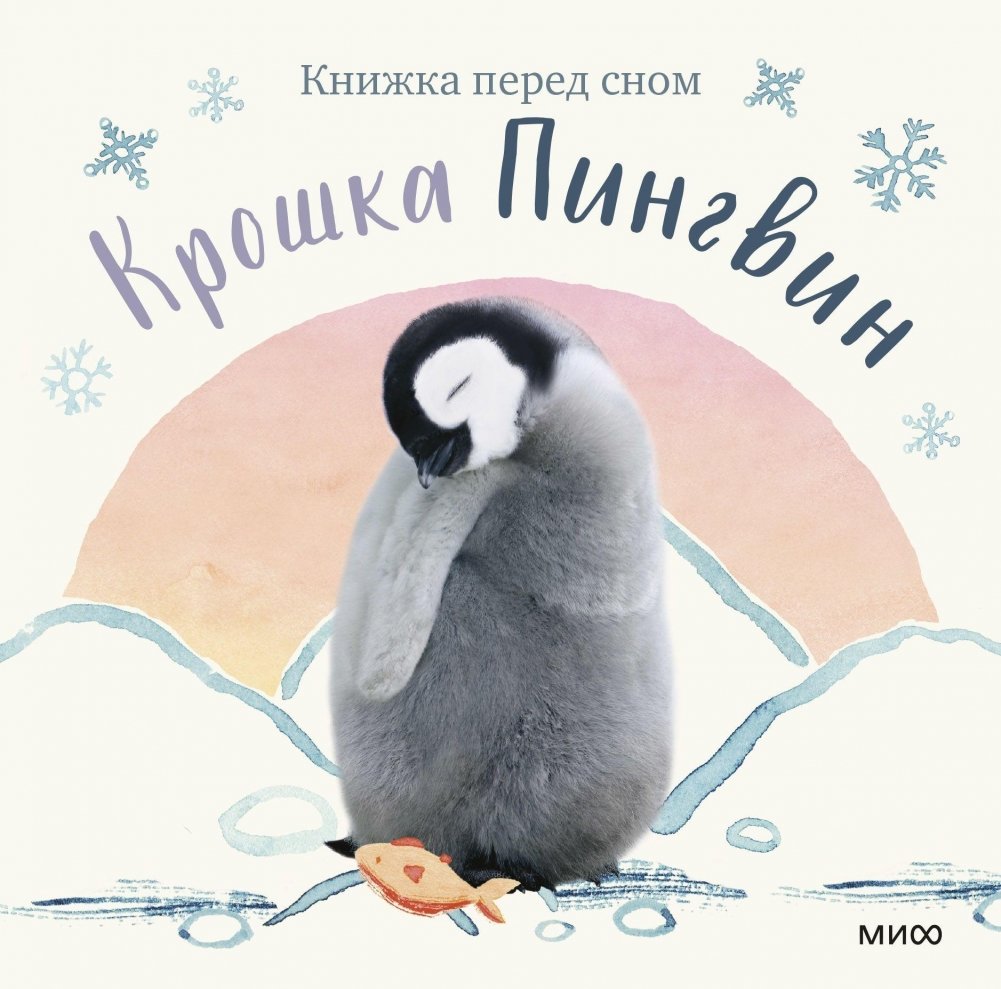 Крошка Пингвин | Little Penguin