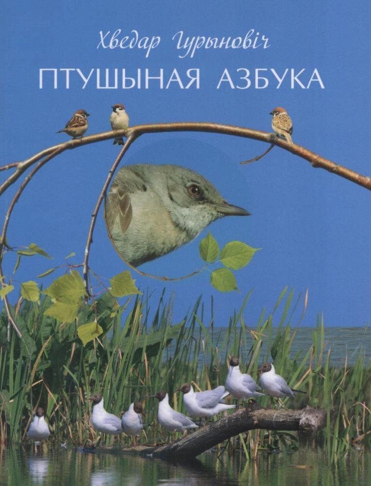Птушыная азбука | Bird Alphabet