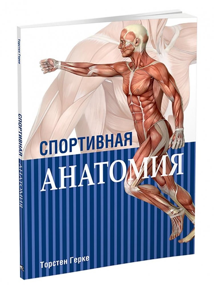 Спортивная анатомия | Sports Anatomy