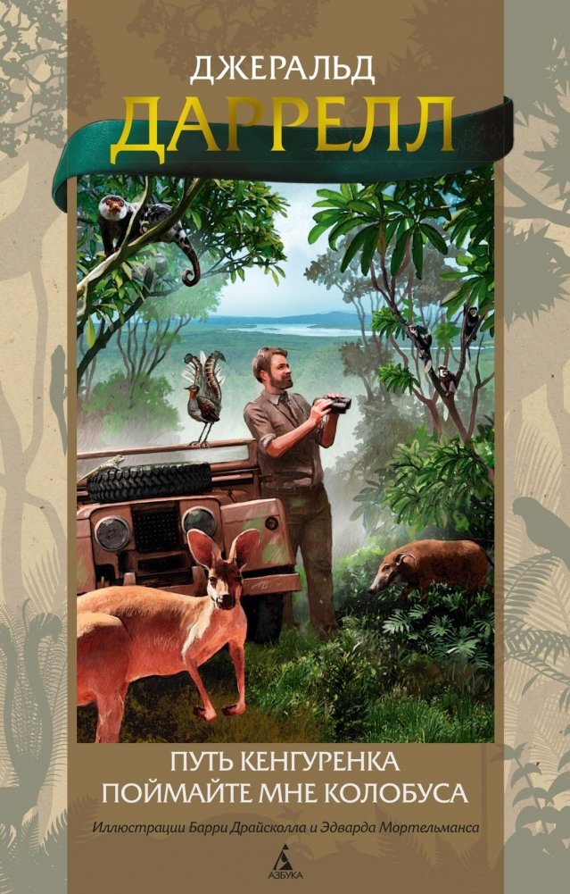 Путь кенгуренка. Поймайте мне колобуса | The Kangaroo's Journey. Catch Me a Colobus