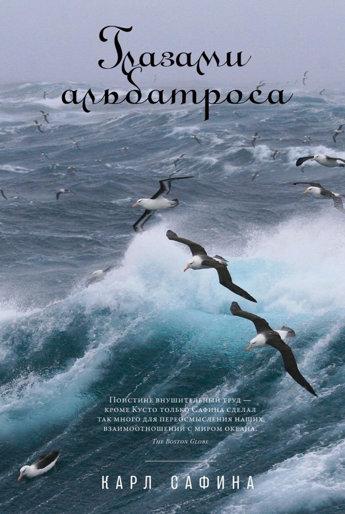Глазами альбатроса | Through the Eyes of an Albatross