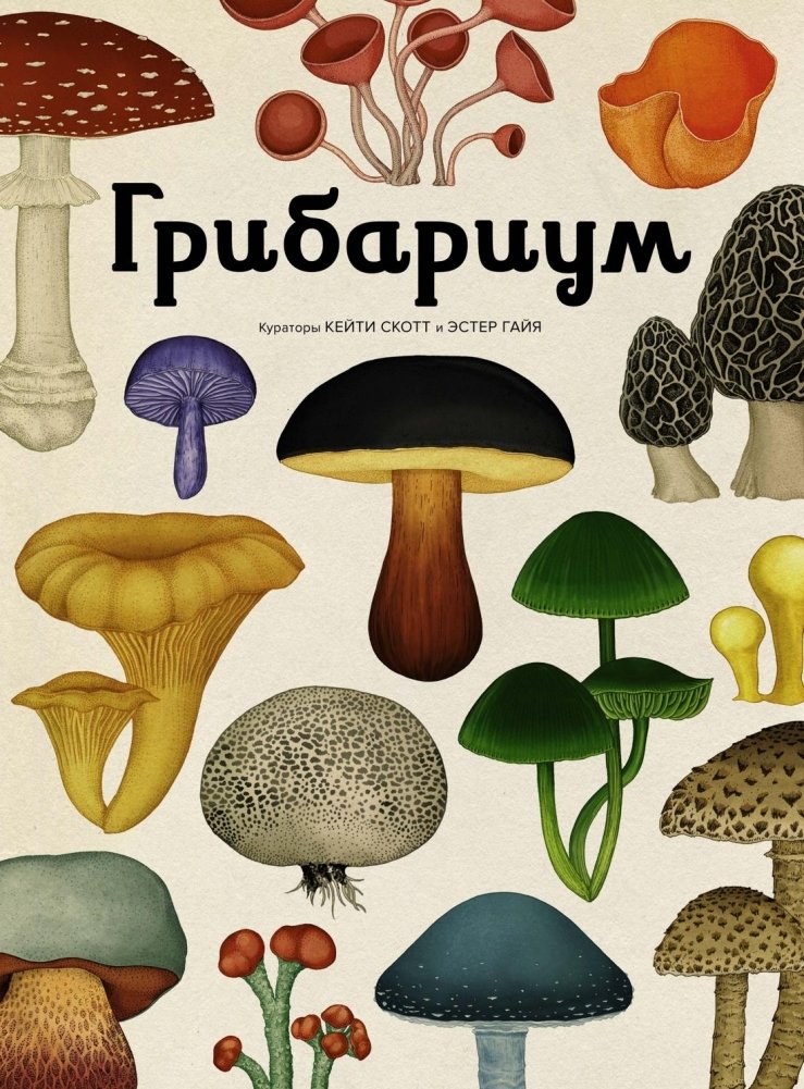 Грибариум | Mycelium Museum