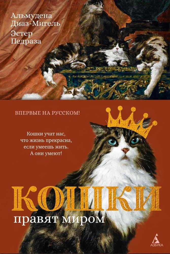 Кошки правят миром | Cats Rule the World