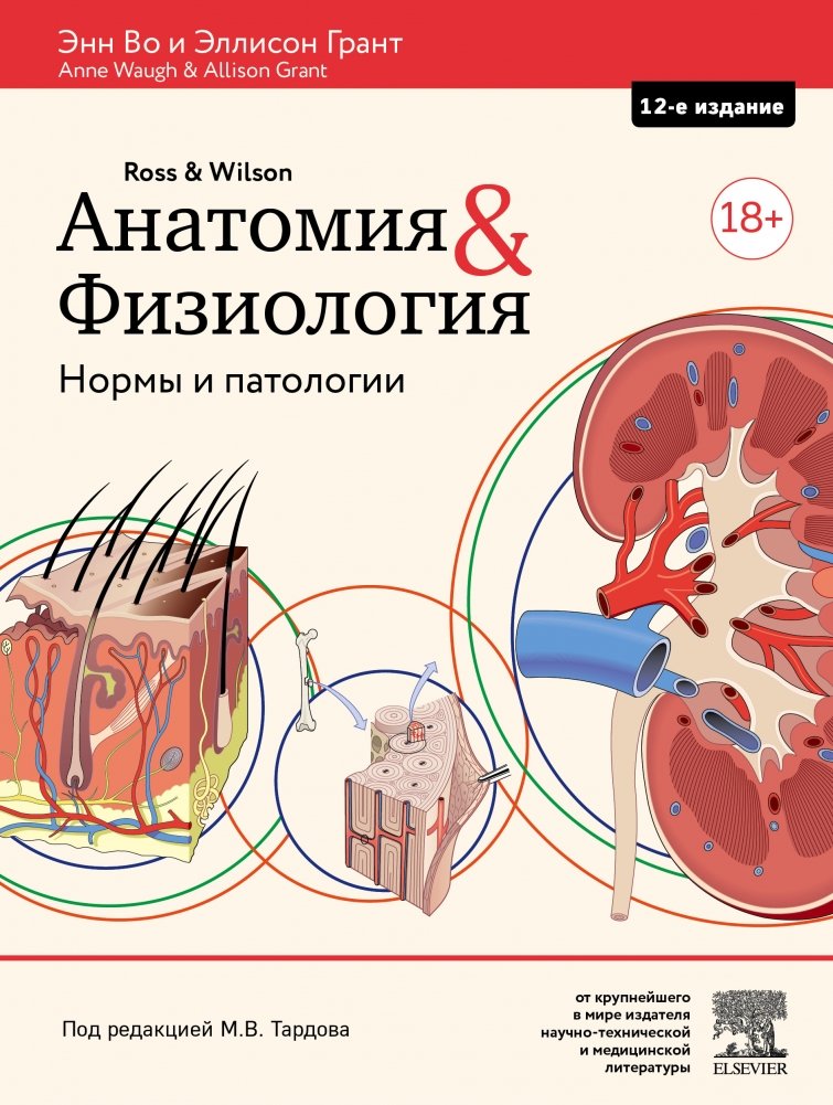 Анатомия и физиология. Нормы и патологии | Anatomy and Physiology: Norms and Pathologies