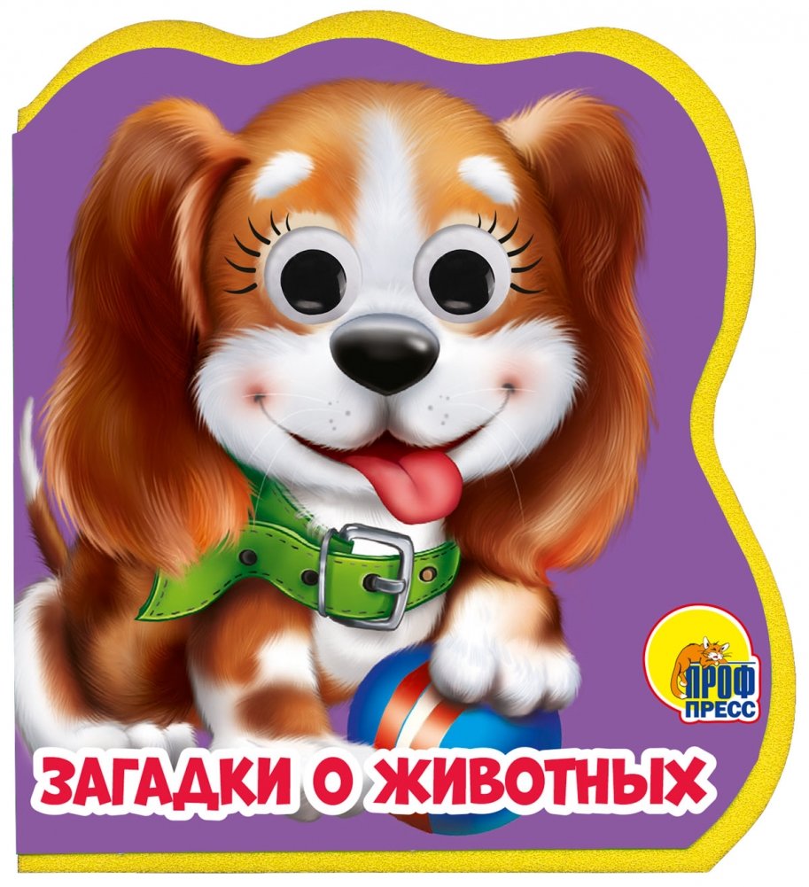 Загадки о животных | Animal Riddles