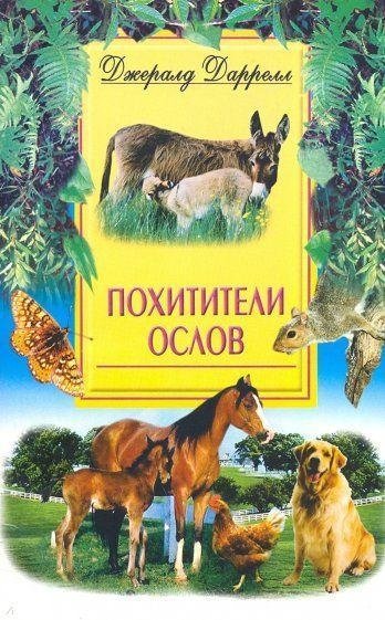 Похитители ослов | Donkey Thieves