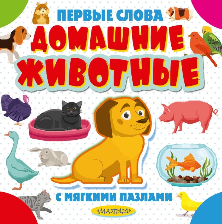 Домашние животные | Pets