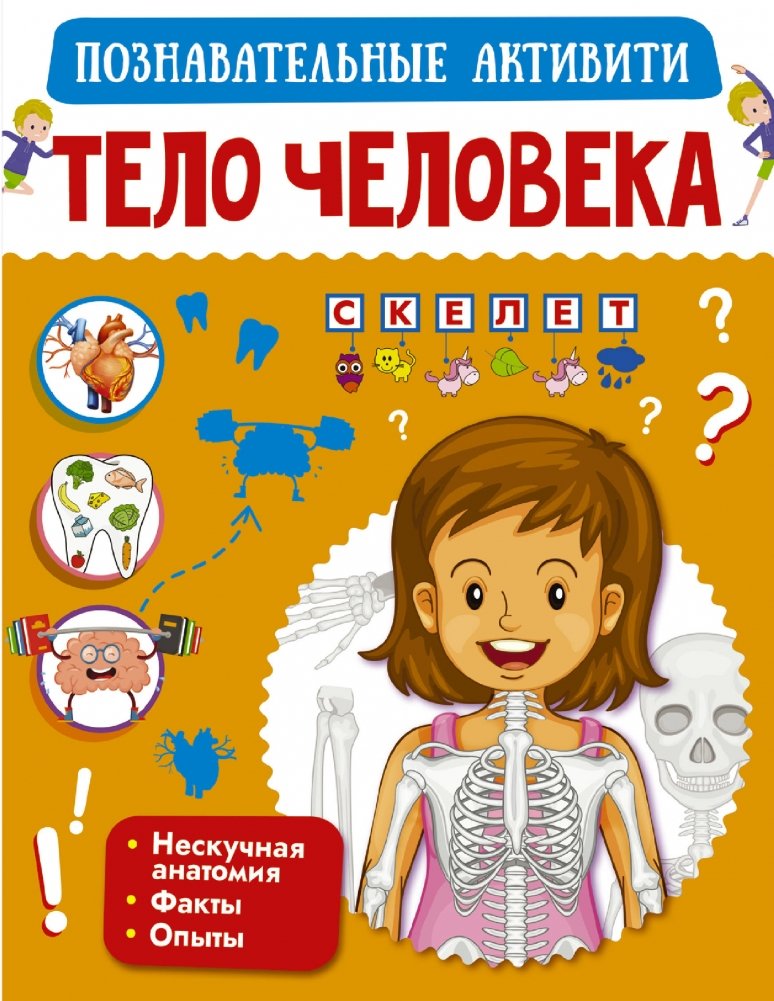 Тело человека | The Human Body