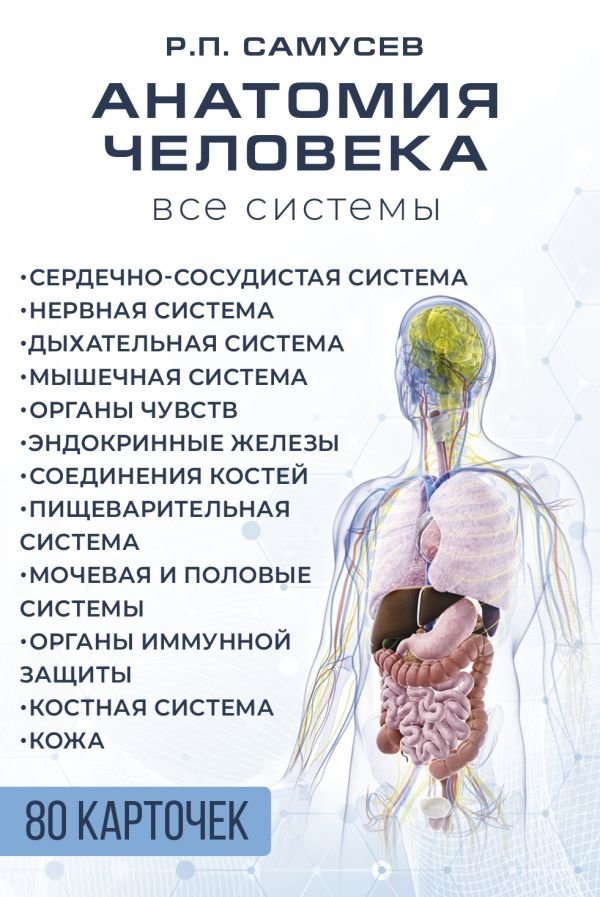 Анатомия человека. 80 карточек. Все системы | Human Anatomy. 80 Cards. All Systems
