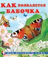 Как появляется бабочка | How a Butterfly Appears