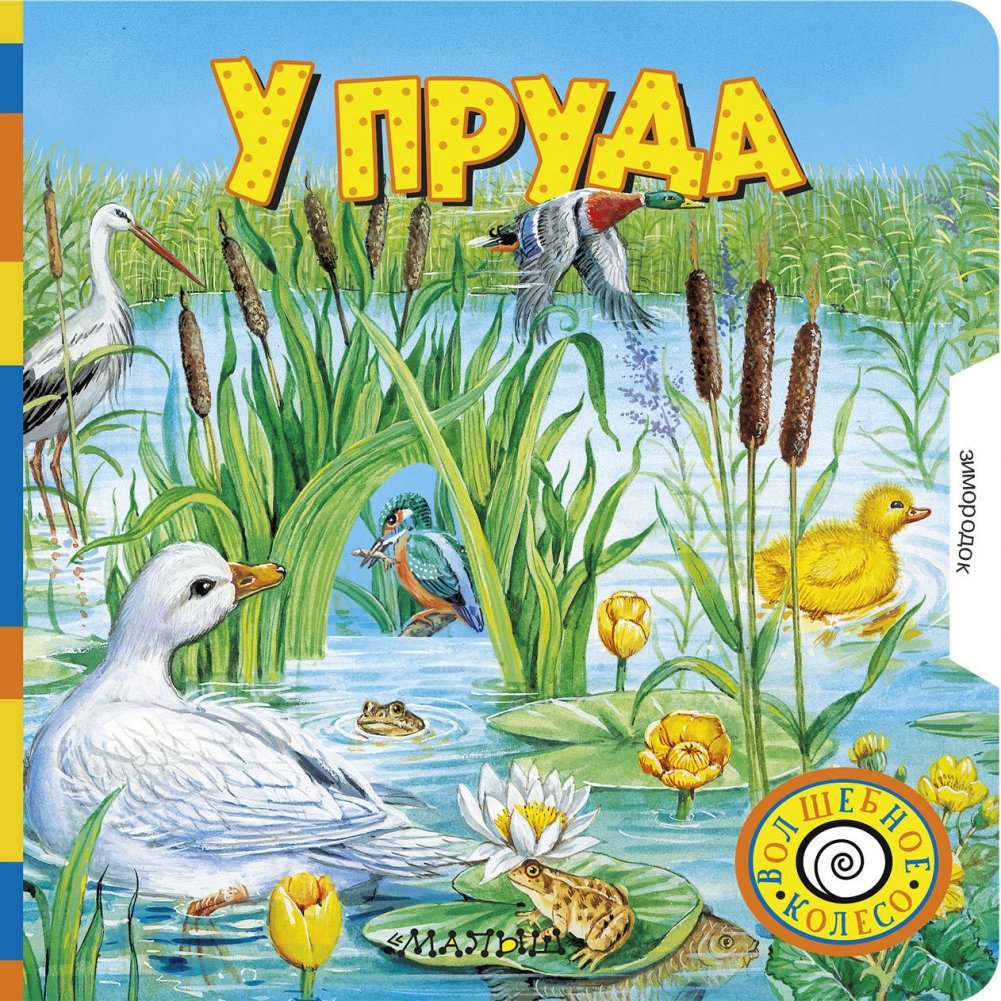 У пруда | By the Pond