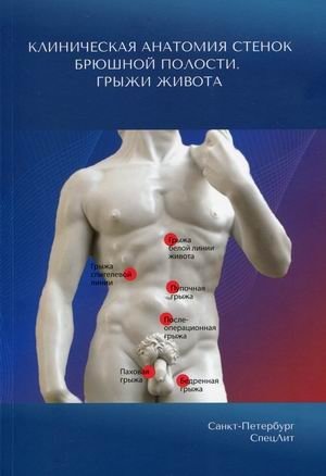 Клиническая анатомия стенок брюшной полости. Грыжи живота | Clinical Anatomy of Abdominal Wall. Abdominal Hernias