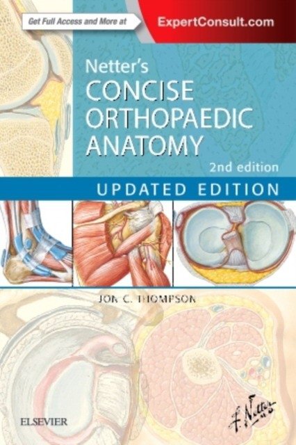 Краткий справочник по ортопедической анатомии Неттера | Netter's Concise Orthopaedic Anatomy
