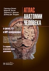 Атлас анатомии человека в срезах, КТ и МРТ-изображениях | Atlas of Human Anatomy in Cross-Sections, CT, and MRI Images