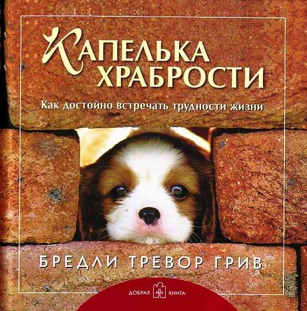 Капелька храбрости. Как достойно встречать трудности жизни