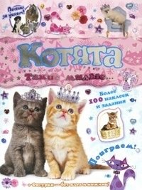 Почеши за ушком! Котята: такие милые... | Scratch Behind the Ears! Kittens: So Cute...