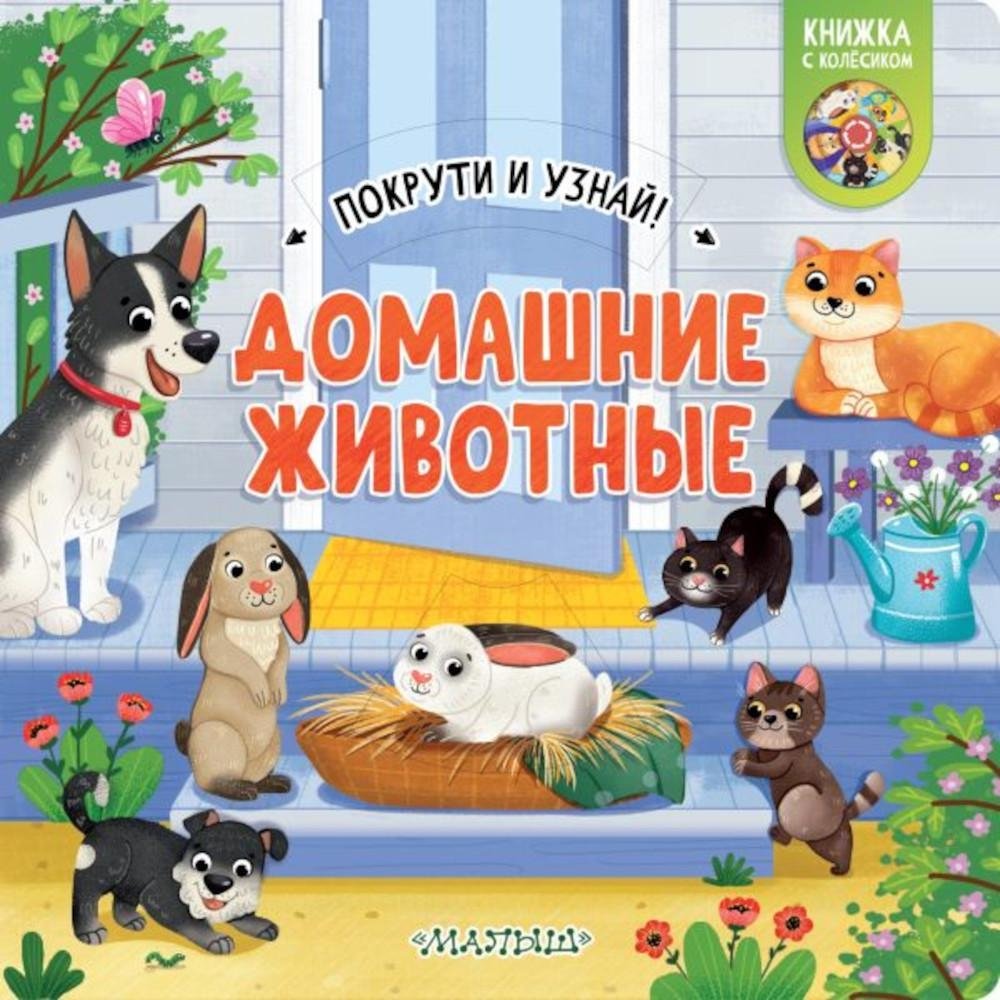 Домашние животные | Pets