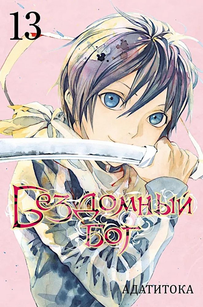Бездомный бог. Т. 13 | Noragami. Vol. 13