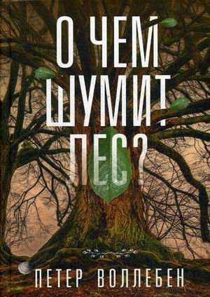 О чем шумит лес? | What the Forest Whispers About