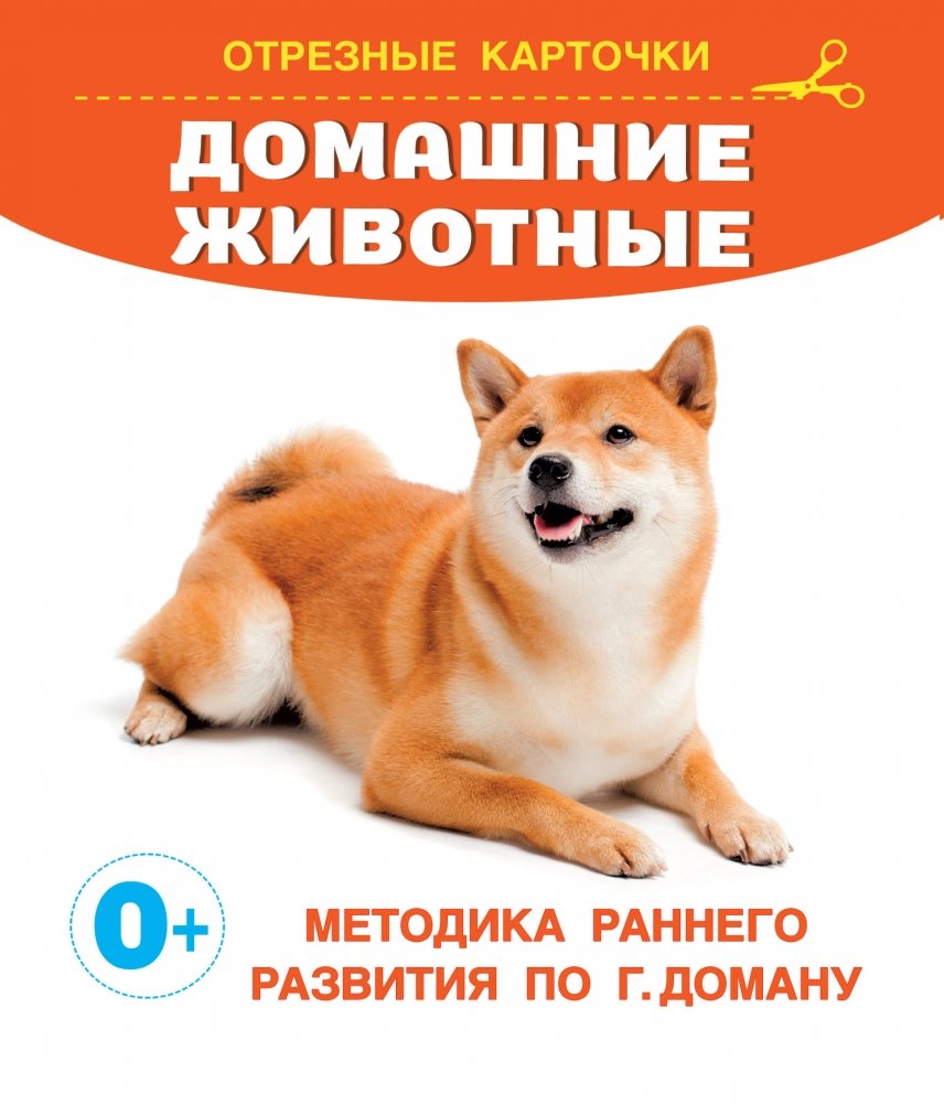 Домашние животные | Pets