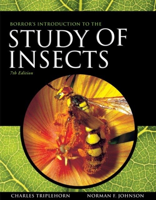 Borror's intro study of insects 7e | Borror's Introduction to the Study of Insects, 7th Edition
