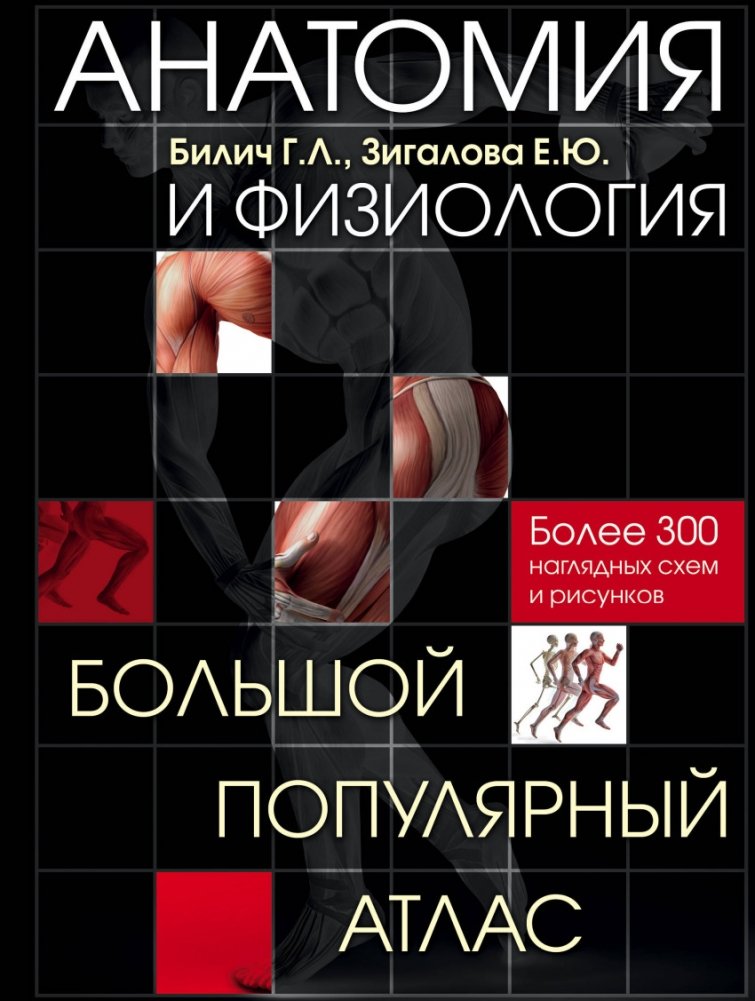 Анатомия и физиология. Большой популярный атлас | Anatomy and Physiology: A Comprehensive Popular Atlas