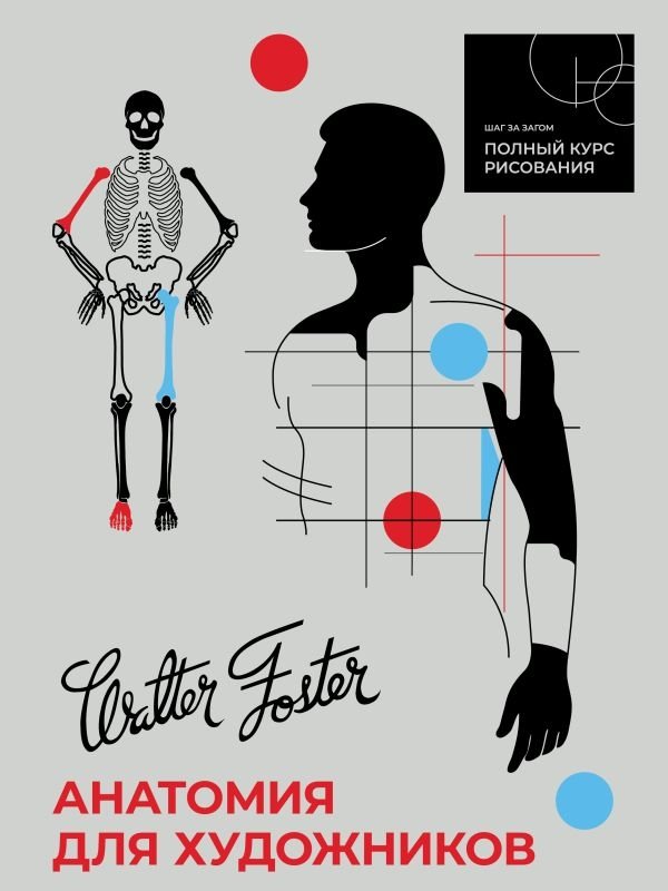 Анатомия для художников | Anatomy for Artists