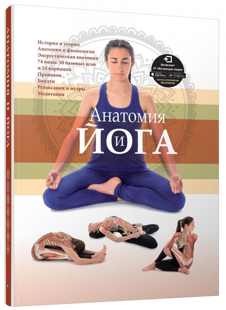Анатомия и йога | Anatomy and Yoga