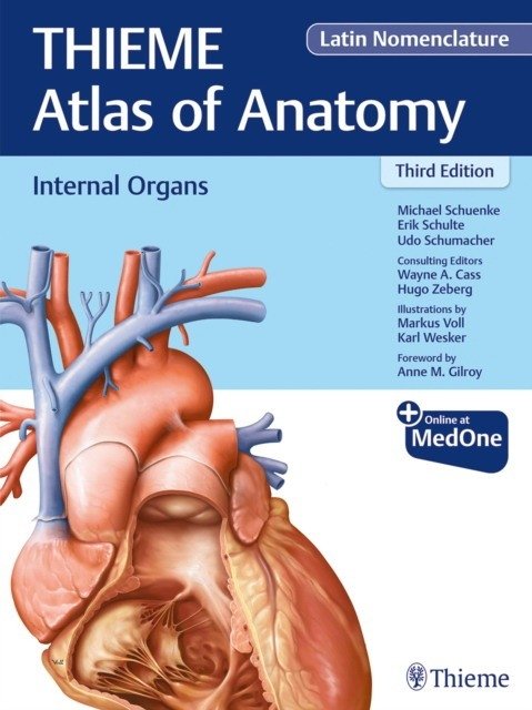 Внутренние органы (Атлас анатомии Тиме) | Internal Organs (Thieme Atlas of Anatomy)
