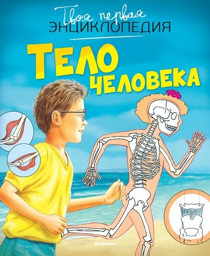 Тело человека | The Human Body
