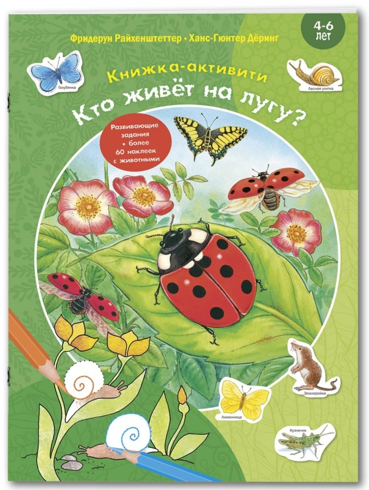 Кто живёт на лугу? Книжка-активити с развивающими заданиями, головоломками, наклейками | Who Lives in the Meadow? Activity Book with Puzzles and Stickers
