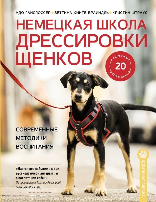 Немецкая школа дрессировки щенков: современные методики воспитания | The German School of Puppy Training: Modern Education Techniques